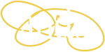 Media Library Categories Premium Media Library Categories Premium